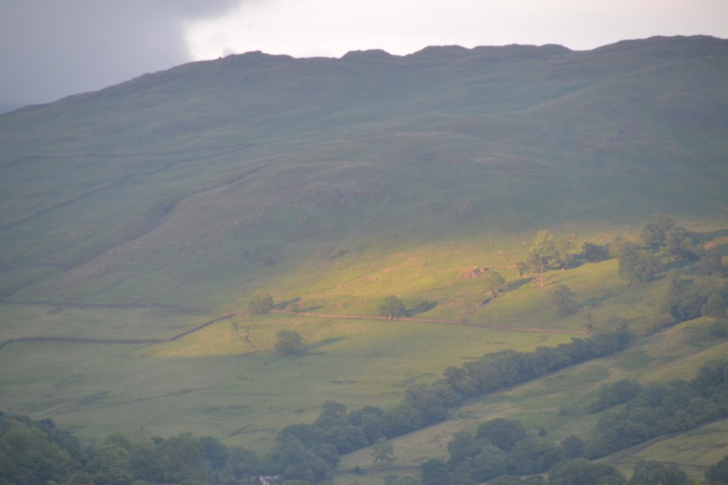 Pearl of great&nbsp;price