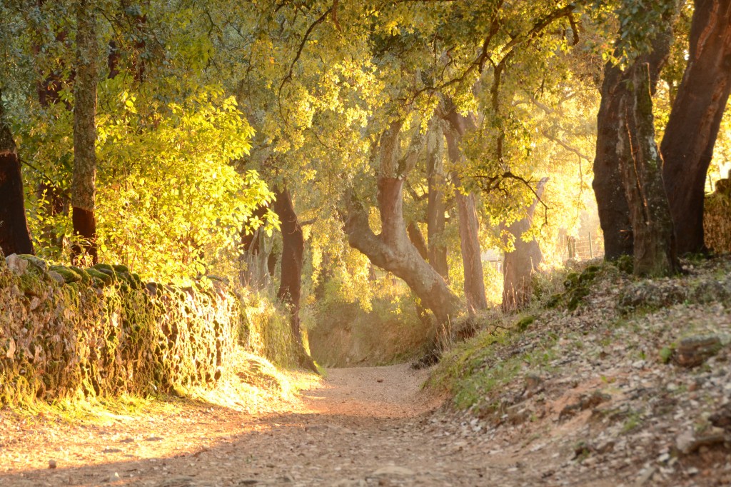 Face to Face with the&nbsp;King