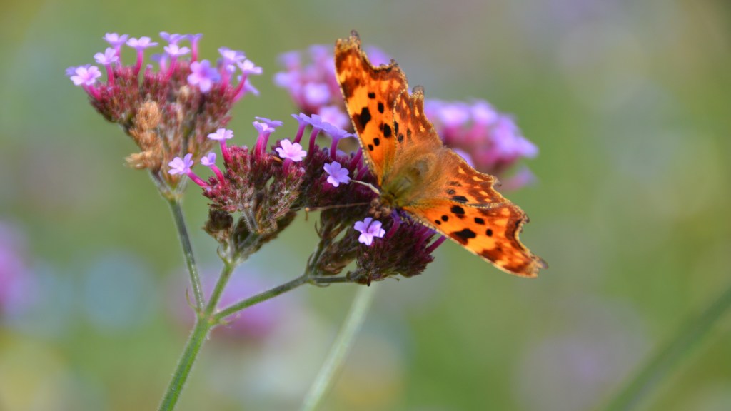 Breaking the bondage of&nbsp;shame
