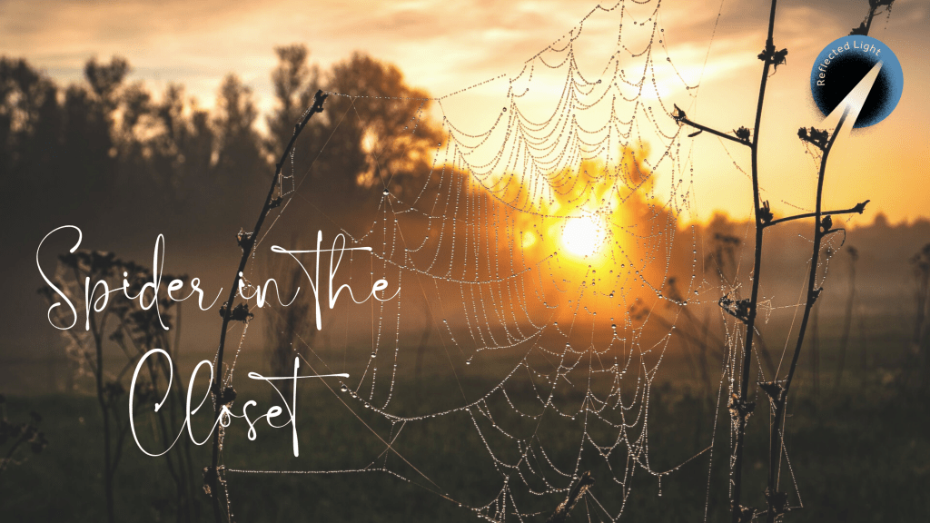 Spider in the Closet